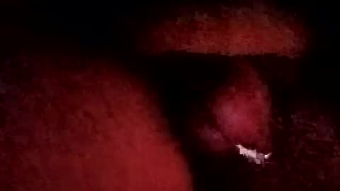 Snapshot of bcfalcon69 chatting on 01.19.26 bcfalcon69 online show from 01.19.26