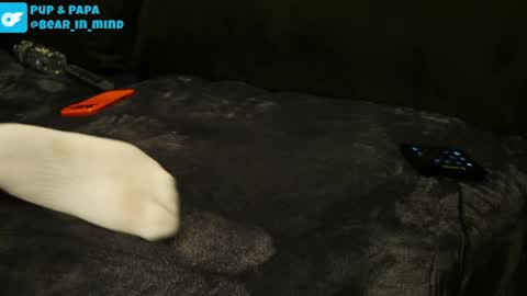 BareBear online show from 04.22.26