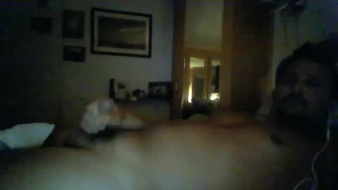 bearboudior online show from 01.14.25