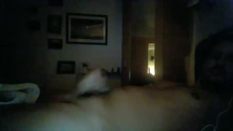 bearboudior online show from 02.16.25