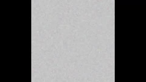 bearded_fellow online show from 09.28.25