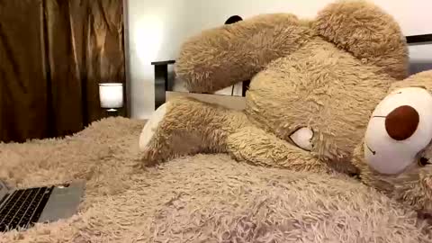 Nik online show from 03.07.26