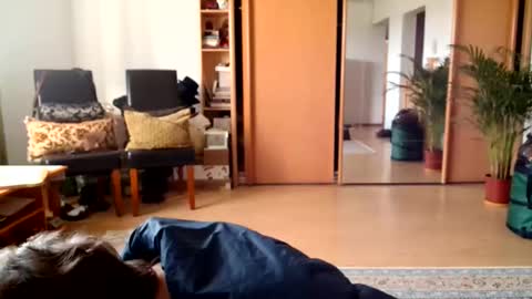 Raluca online show from 05.15.26