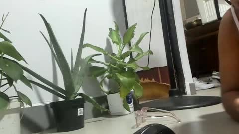 bebesita online show from 04.11.26