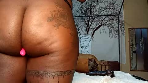 beencee2 online show from 11.06.25