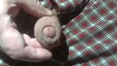  Reservoir Dogs online show from 12.28.24