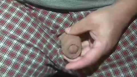  Reservoir Dogs online show from 10.20.25