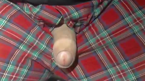  Reservoir Dogs online show from 10.21.25