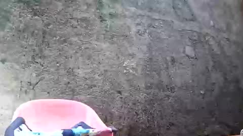 Tezza online show from 02.28.25