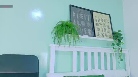 BELA online show from 10.07.25