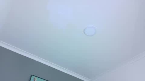 BELA online show from 10.28.25