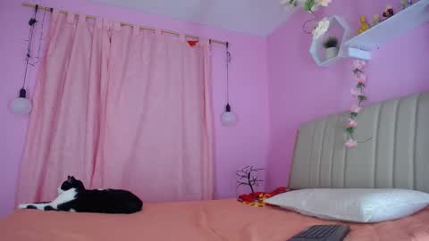 bella_gentle online show from 12.31.24