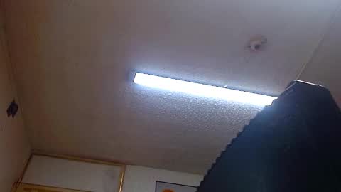 lady online show from 12.31.24