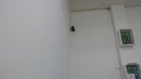 lady online show from 02.09.25