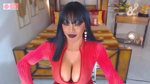 B E L L A T R I X online show from 03.03.25