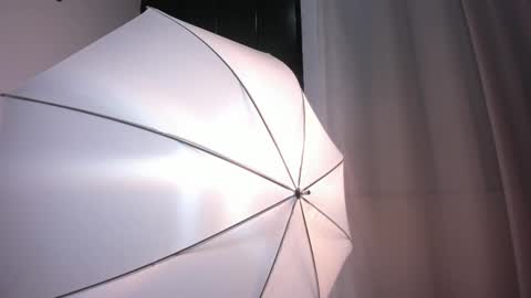 Bella Wild online show from 02.12.26