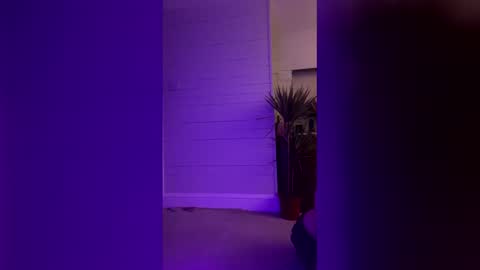 Snapshot of bellaxlauren chatting on 02.11.26 bellaxlauren online show from 02.11.26