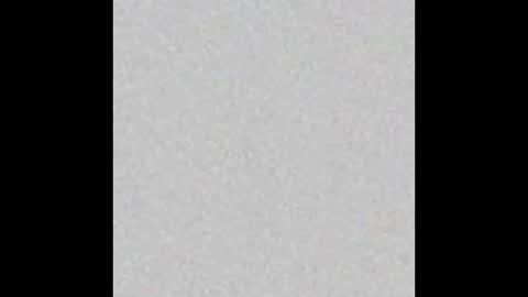 Bella online show from 02.16.26