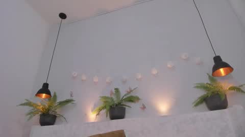 Bellota Flak online show from 03.03.25