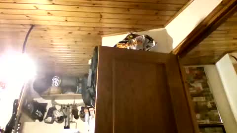 Snapshot of bernichaos77 chatting on 02.21.26 bernichaos77 online show from 02.21.26