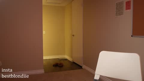 Chloe Next stream on Friday online show from 12.14.24