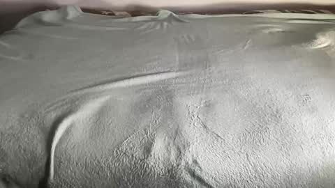 BEST online show from 01.11.26