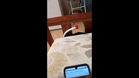 bf2506 online show from 02.12.26