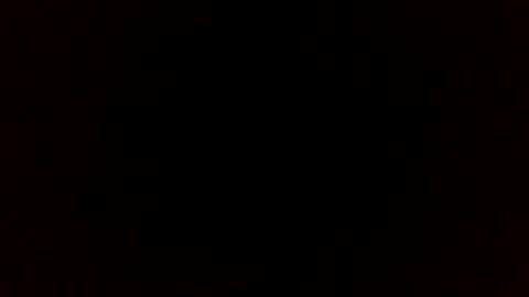 bi0390 online show from 12.21.25