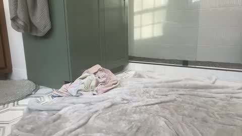 bi3269 online show from 03.25.26