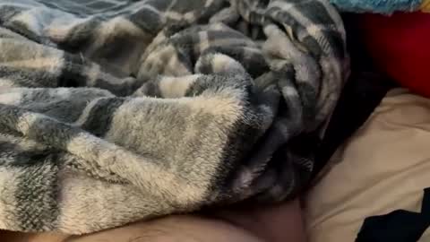 bi_guy_1993 online show from 02.24.25