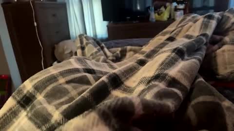 bi_guy_1993 online show from 02.25.25