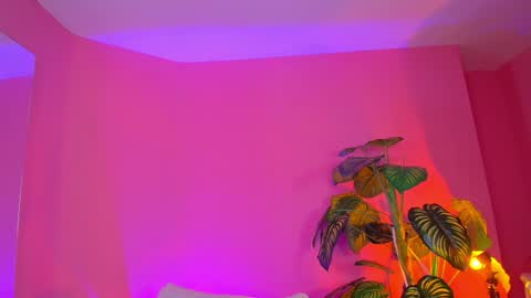 Bianca online show from 12.19.24