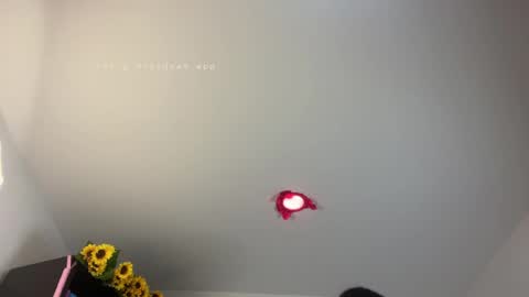 Snapshot of biancamirage1 chatting on 04.07.26 Bianca Mirage online show from 04.07.26