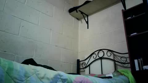 bichopeludo online show from 10.06.25