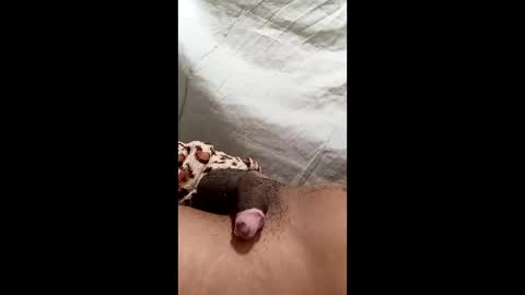 Snapshot of biel369737 chatting on 03.02.26 biel369737 online show from 03.02.26