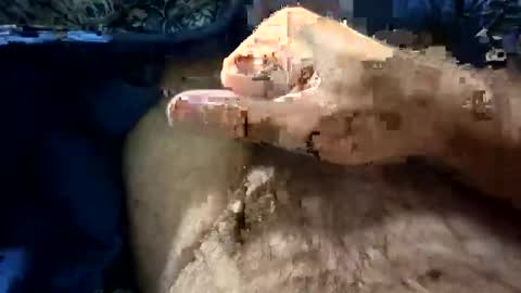 Snapshot of big88385909 chatting on 10.21.25 big88385909 online show from 10.21.25