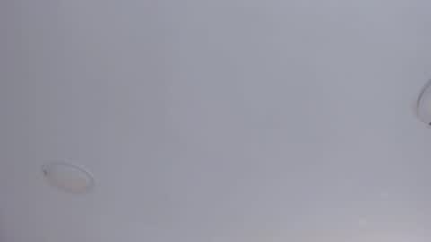   online show from 10.08.25