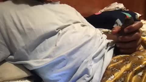 bigbrown_boy online show from 09.21.25