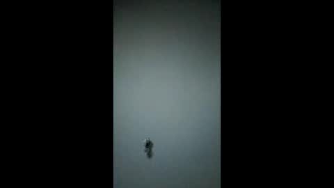 Snapshot of bigchorizo18 chatting on 03.17.26 bigchorizo18 online show from 03.17.26