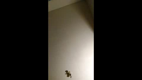 Snapshot of bigchorizo18 chatting on 04.02.26 bigchorizo18 online show from 04.02.26