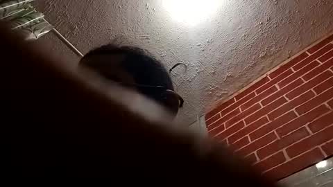 Snapshot of bigdaddy1231995 chatting on 10.28.25 BigDaddykodack online show from 10.28.25