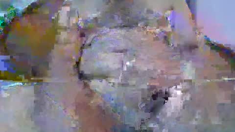 Snapshot of bigdaddysam95 chatting on 09.24.25 bigdaddysam95 online show from 09.24.25