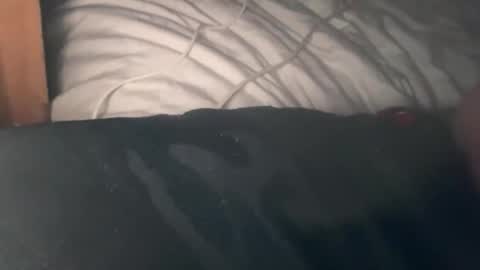 Snapshot of bigdick686268 chatting on 10.03.25 Pac Man Sex online show from 10.03.25