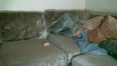 Snapshot of bigdickjimmywill chatting on 02.11.25 CAJEinc online show from 02.11.25