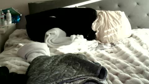 Snapshot of bigdickjoey1995 chatting on 01.10.25 bigdickjoey1995 online show from 01.10.25