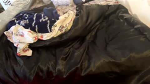 bigdickpapishampoo online show from 02.07.26