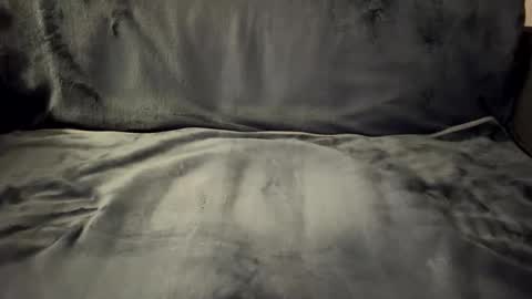 bigdoghandlerofficial online show from 02.08.26