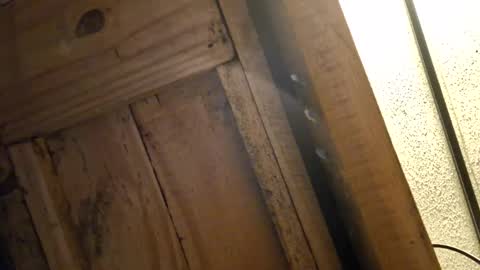 Snapshot of bigeallnight chatting on 02.12.25 bigeallnight online show from 02.12.25