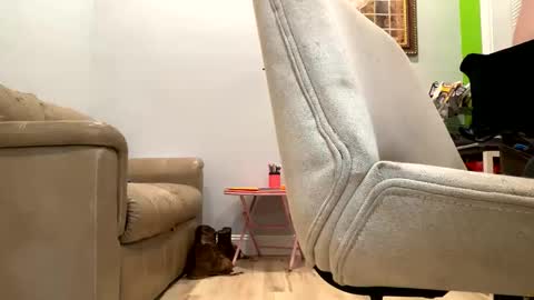 bigeddie88 online show from 09.23.25