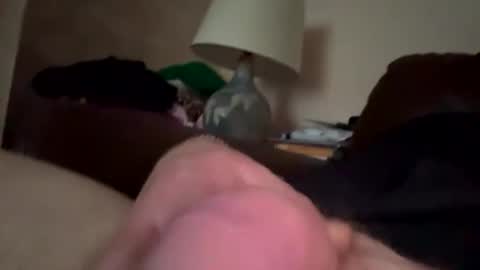 biggloves4bighands online show from 12.21.25